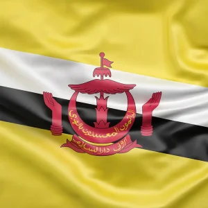 Bandiera Brunei