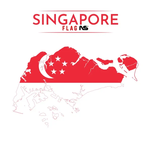 mappa Singapore ns bandiere