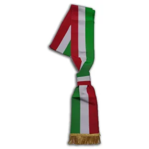 Nodo fascia sindaco